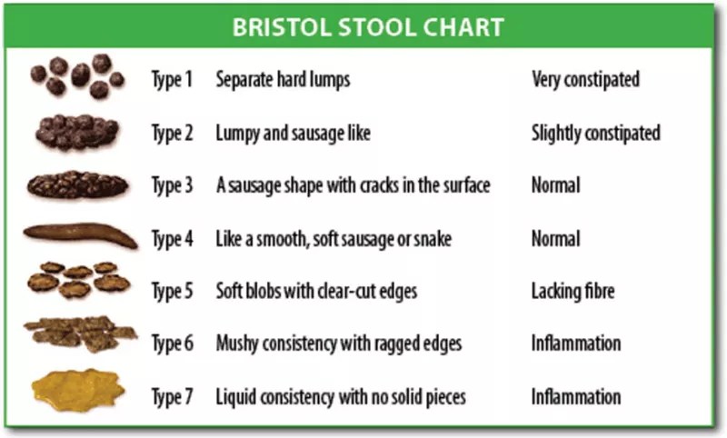 Do you have Absorption Issues? How the Bristol Stool Chart can help you find out: Vitamin & Supplement Patches