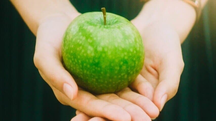 How To Boost The Immune System To Protect Ourselves